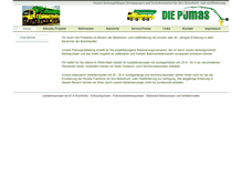 Tablet Screenshot of diepumas.de